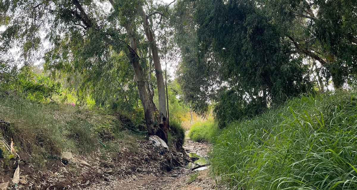 ערוץ נחל גלילות, הרצליה
