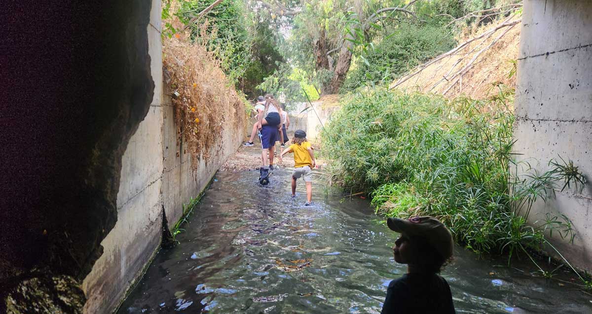 ילדים מטיילים בנחל גלילות