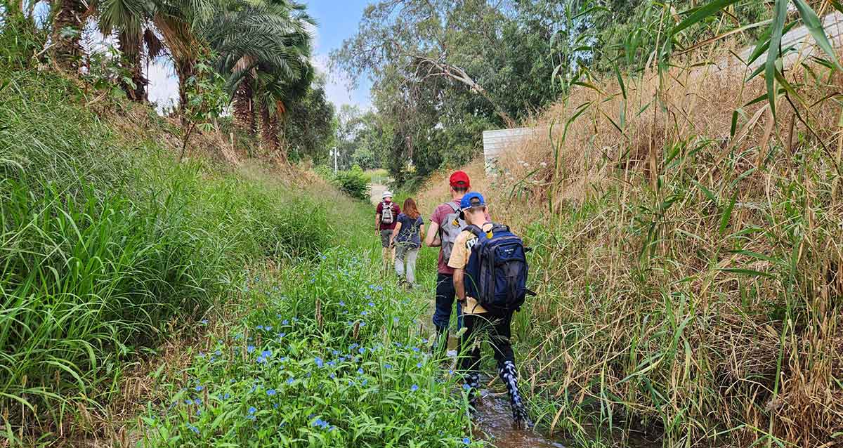 בני נוער מטיילים בנחל גלילות