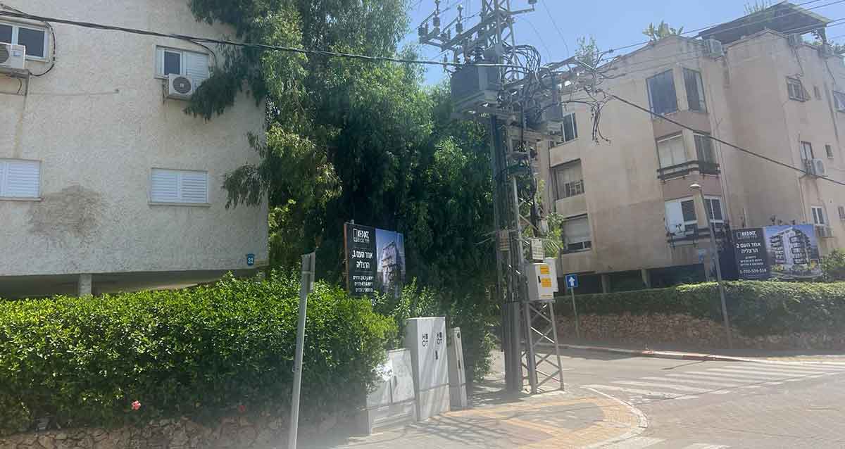 רחוב אחד העם, הרצליה