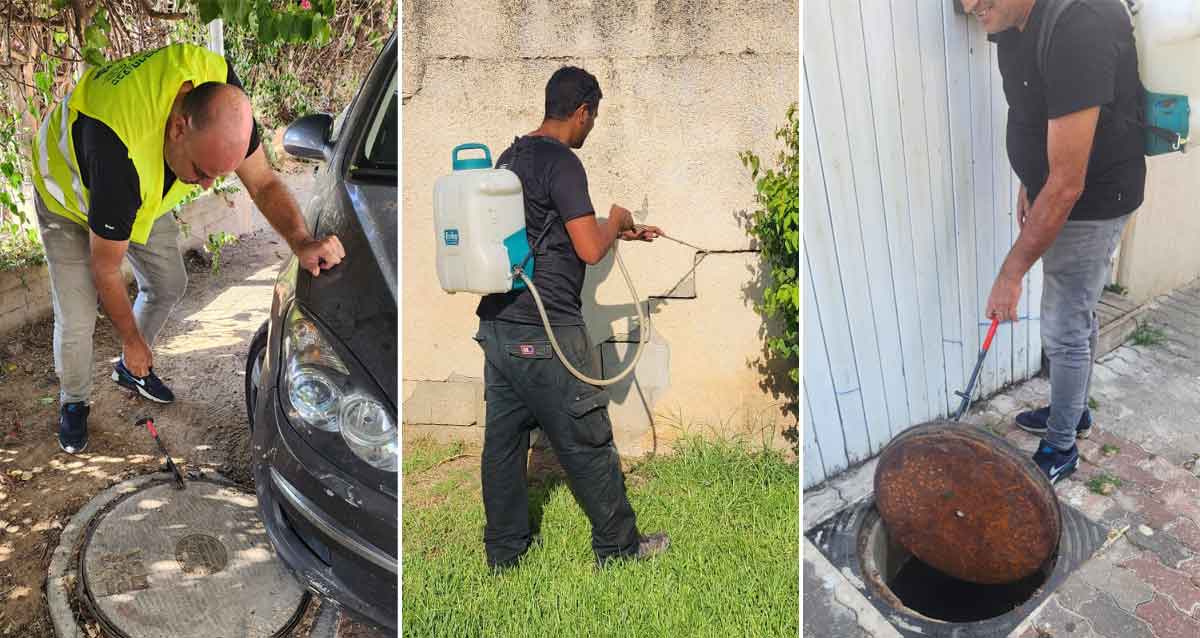 מבצע הדברה עירוני במרחב הציבורי ברחבי כפר סבא. מדבירים בביובים ובחריצים