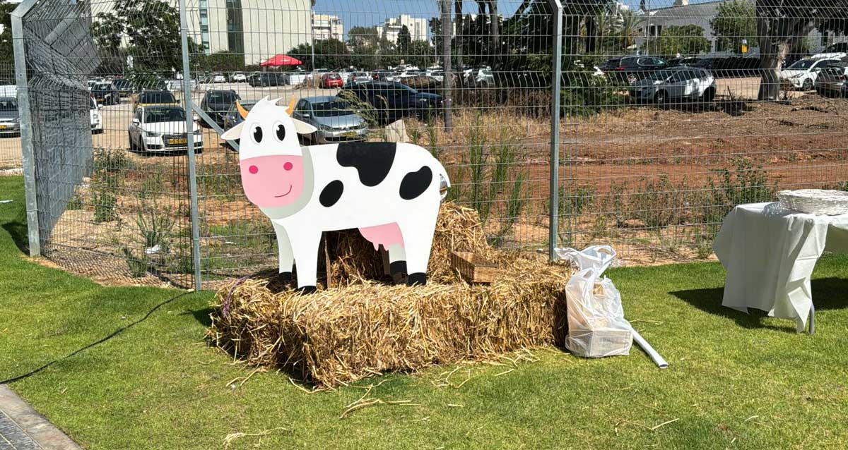 דמות של פרה מקרטון על גבי ערימת חציר בשערי אוניברסיטת רייכמן