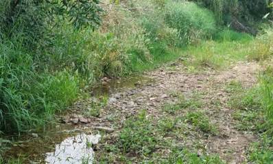 נחל גליל ים