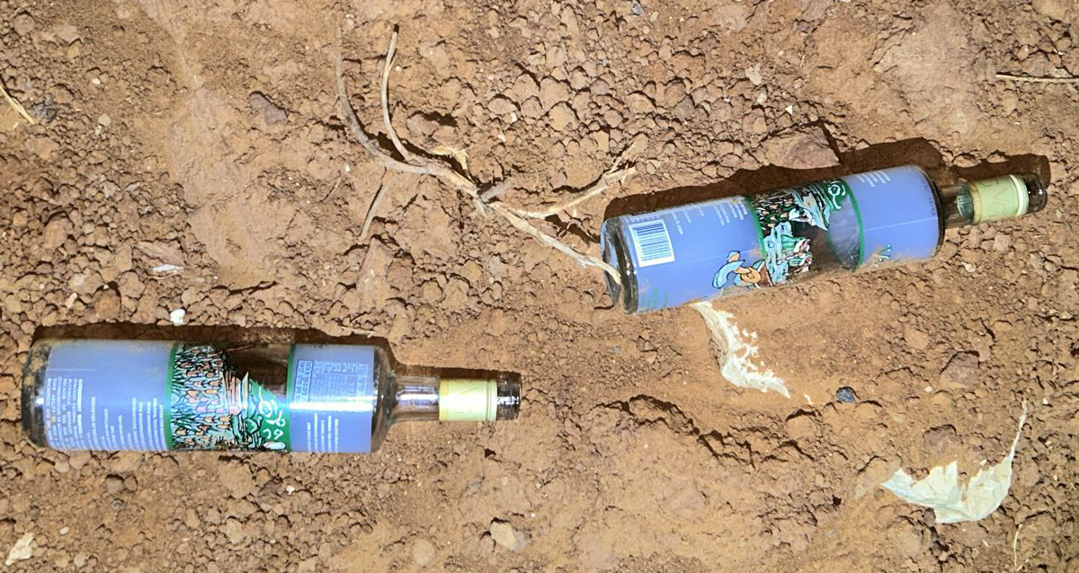 בקבוקי אלכוהול ריקים מוטלים על האדמה