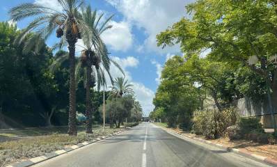 רחוב בן יהודה כפר סבא, רחוב בן שני מסלולים ושני נתיבים בכל מסלול. ושדרה ירוקה ביניהם. בשדרה עצי דקל. מימין ומשמאל לרחוב שורות של עצים גדולים.