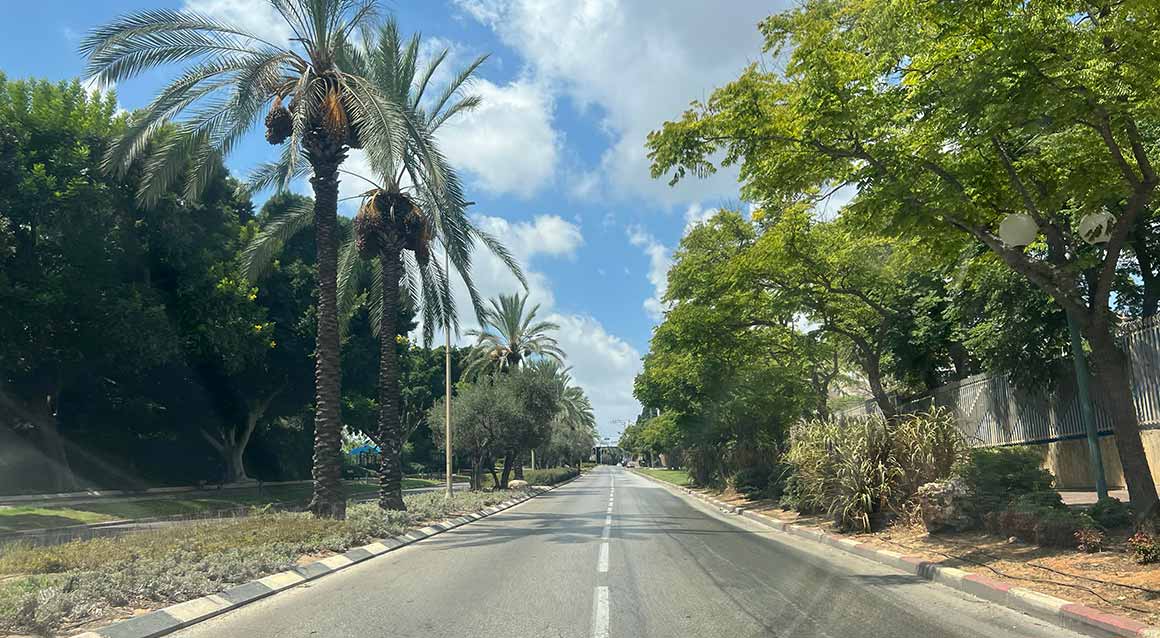 רחוב בן יהודה כפר סבא, רחוב בן שני מסלולים ושני נתיבים בכל מסלול. ושדרה ירוקה ביניהם. בשדרה עצי דקל. מימין ומשמאל לרחוב שורות של עצים גדולים.