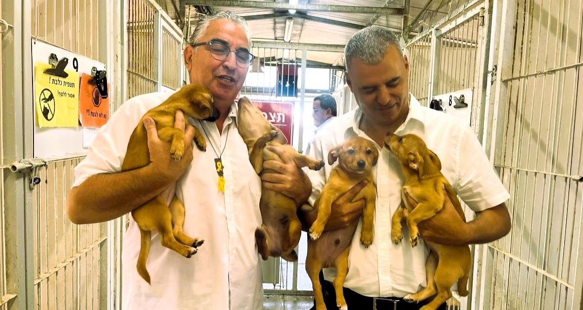 סער וברוידא בכלבייה. צילום: עיריית כפר סבא