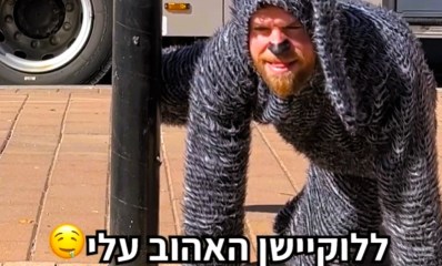 רקסי, הכלב של מטרופולין. צילום מסך מפייסבוק