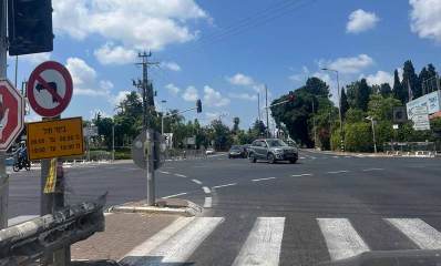 צומת רעננה כפר סבא, רמזורים בכל הצדדים, עצים לאורך הרחוב ומכוניות חוצות את הצומת.