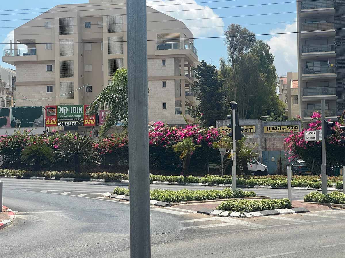 רחוב וייצמן כפר סבא, עצים ושיחים לאורך הרחוב, ברקע בנייני מגורים גבוהים. לאורך הרחוב מוסכים לרכב, רחיצת מכוניות ומוסך חשמל לרכב.