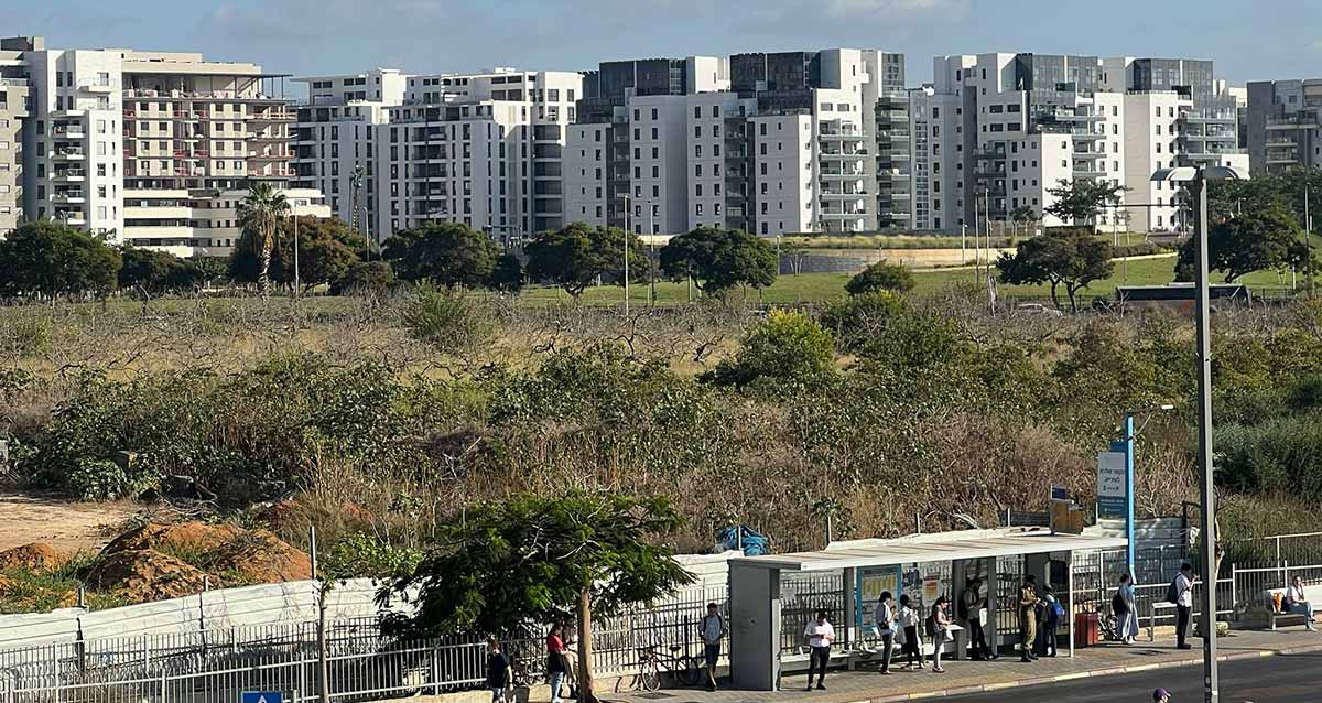 שכונת גליל ים בהרצליה. בנייני מגורים חדשים של 8 קומות בצפיפות גדולה. בין הבניינים לבין שדרת שבעת הכוכבים פארק ירוק עם דשא ועצים.