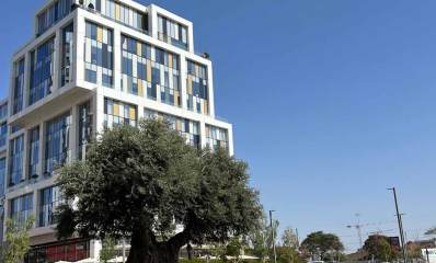 מתחם הרצליה הייטס. בניין ענק הנראה כמו קוביות על קוביות, וחלונות זכוכית בצבעים. לפניו עץ המסתיר חלק מהבניין.