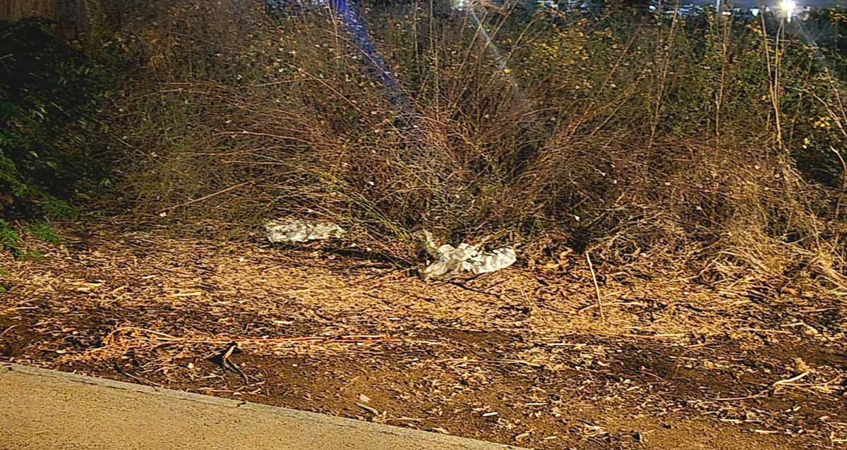 לכלוך וזוהמה בפארק הרצליה. שתי שקיות אשפה לצידי שביל.