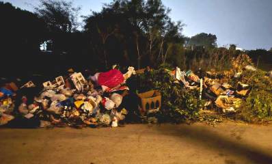 לכלוך וזוהמה בפארק הרצליה. ערימה גדולה של שקיות אשפה, קרטון, וגזם. ברקע עצים של הפארק.