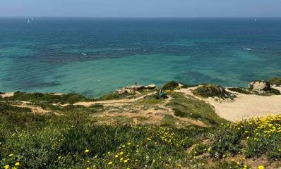 חוף אפולוניה בהרצליה. בחלק הקדמי של התמונה נראה המצוק שחלקו מכוסה צמחייה ירוקה ופרחים צהובים וחלקו חול ים. מעבר למצוק נראה הים התיכון שחלקו כחלחל וחלקו כחול כהה.