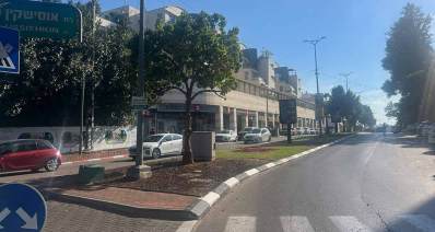 רחוב אוסישקין ברמת השרון, שדרה של שני מסלולים ושני נתיבים בכל מסלול. באמצע שדרה צרה עם דשא ועצים. משמאל שורת חנויות. בתחילת הרחוב מעבר חצייה.