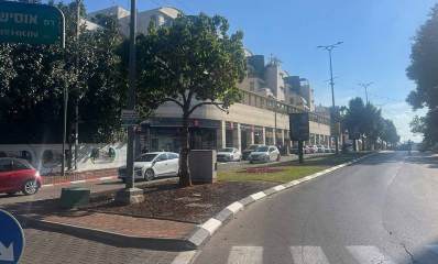 רחוב אוסישקין ברמת השרון, שדרה של שני מסלולים ושני נתיבים בכל מסלול. באמצע שדרה צרה עם דשא ועצים. משמאל שורת חנויות. בתחילת הרחוב מעבר חצייה.