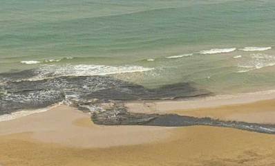 כתם בים בחוף השרון הרצליה