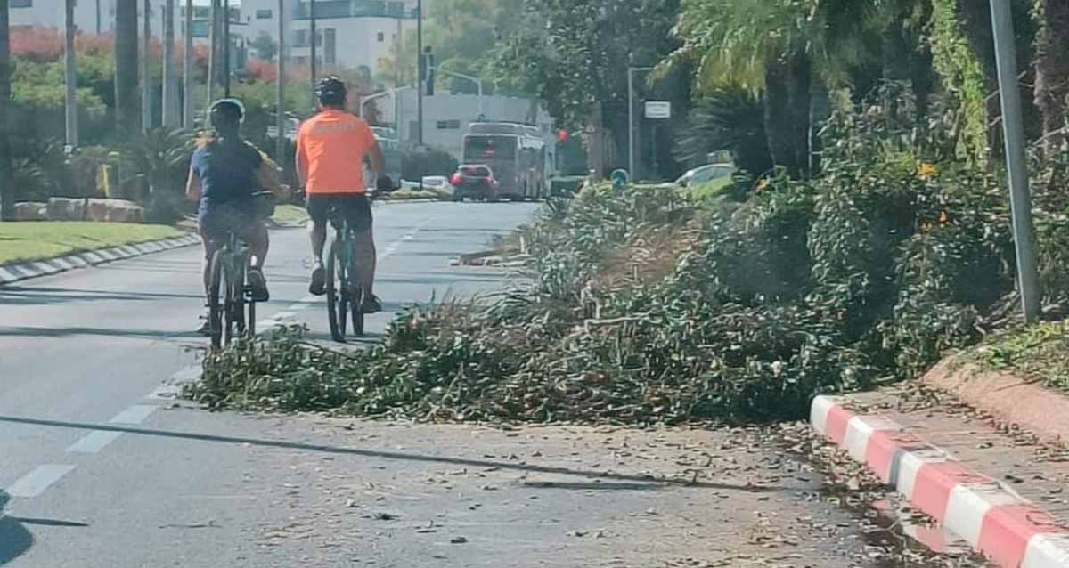 גזם ברחוב ברעננה, מכסה נתיב אחד משני הנתיבים של הכביש. שני רוכבי אופניים בכביש נוסעים במרכז הכביש.