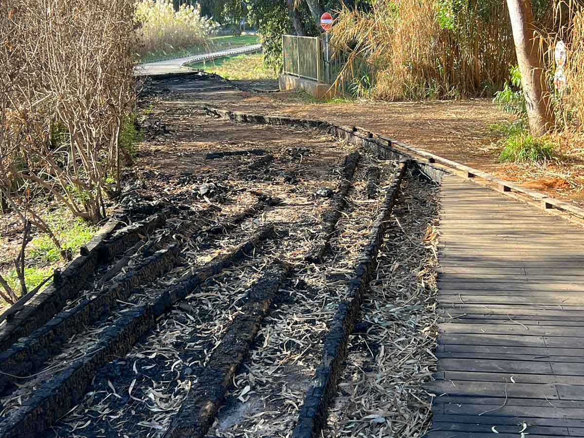 הדק השרוף בפארק הרצליה