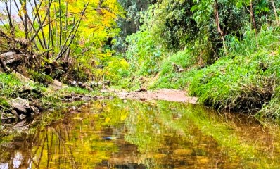 אזור נחל גלילות בסוף השבוע, אחרי הגשמים. צילום: קוסטה ברודסקי