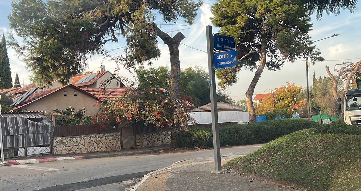 צומת בורוכוב הר סיני בנווה עמל, הרצליה