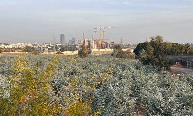 מבט לרעננה ולשדות של גבעת חן מיד התשעה הרצליה. באופק מנופים ובניינים בבניה ואיזור ההיטק