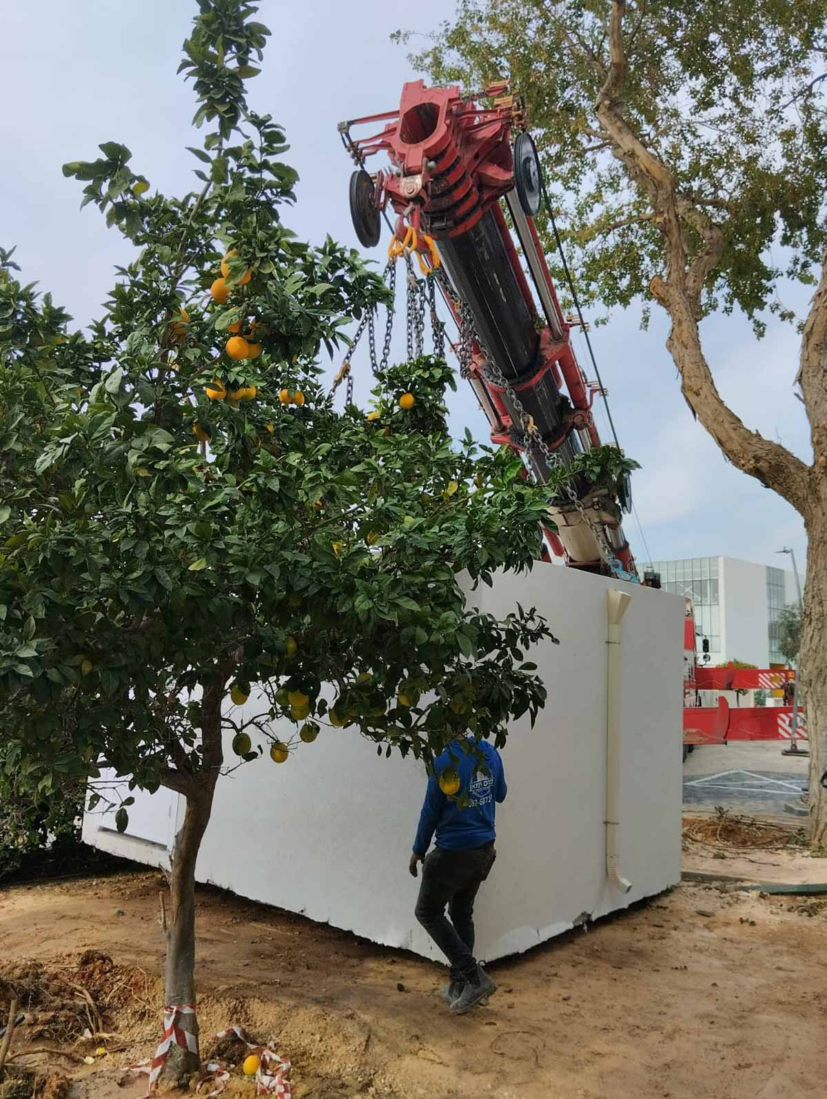 מנוף מוריד מקלט יביל בין עצים. איש הולך לפני המקלט עם הגב אלינו.