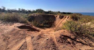 שטחי תע"ש נוף ים הים ברקע. בין צמחייה שגדלה פרא