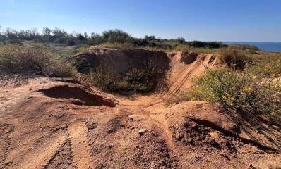 שטחי תע"ש נוף ים הים ברקע. בין צמחייה שגדלה פרא