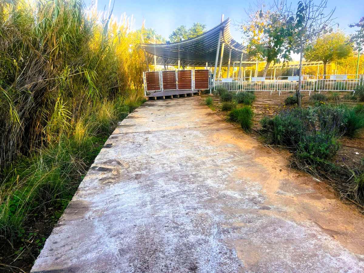 השביל למצפור. הדק השרוף הוסר אבל הכניסה עדיין חסומה. צילום: מערכת