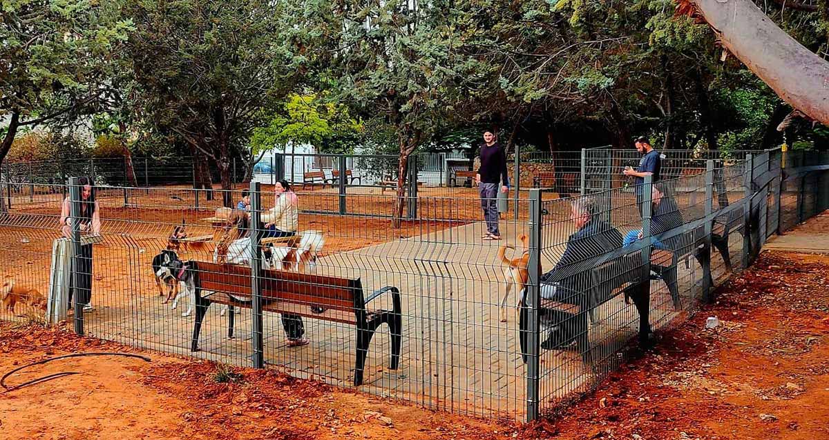 גינת כלבים חדשה ברחוב י.ל. ברוך בהרצליה. הגינה מוקפת בגדר מתכת. רוב שטח הגינה חולי, ורק חלק קטן מרוצף ובתוכו ספסלים לבעלי הכלבים ליד הגדרות. ברז מים בגינה ואישה לוקחת מים בכלי. אנשים יושבים ואנשים עומדים.