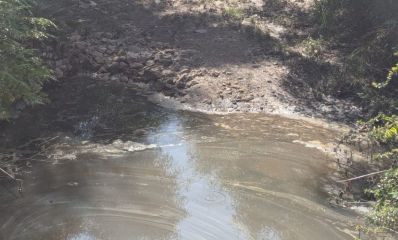 שלולית בנחל עם "מים שומניים". צילום: סיגל קולטון