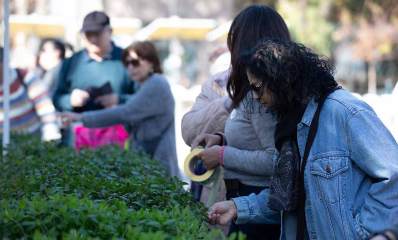 אירועי ט"ו בשבט 2025 ברעננה. אנשים עומדים ליד דוכן עם צמחים.
