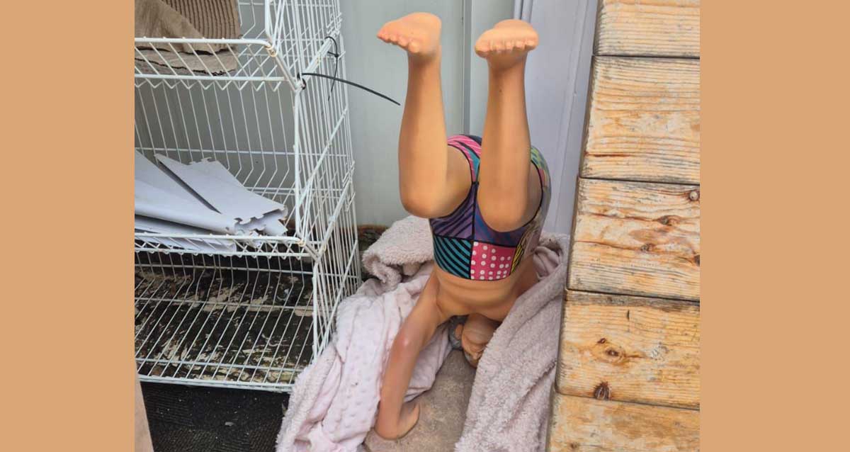 הפסל הגנוב של בן גוריון עומד על הראש