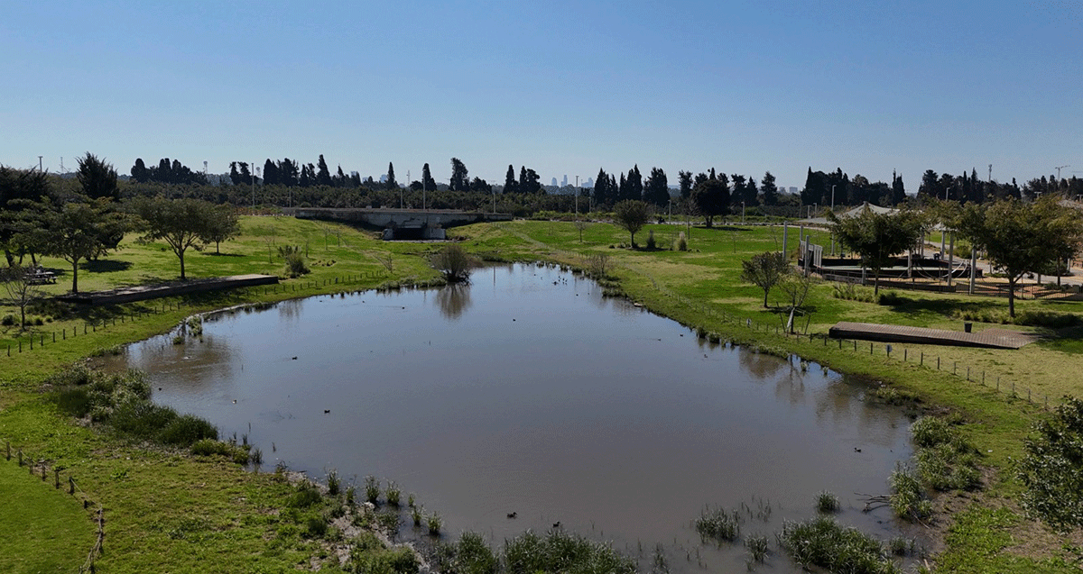 פארק גליל ים. בריכה לעופות מים וסביבה דשאים נרחבים, עצים, ומתקן משחקים לילדים.