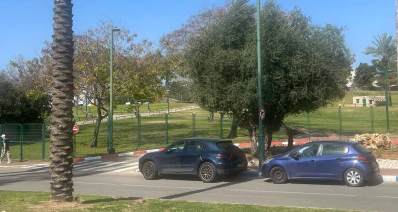 פארק רעננה. דשאים נרחבים ועצים.