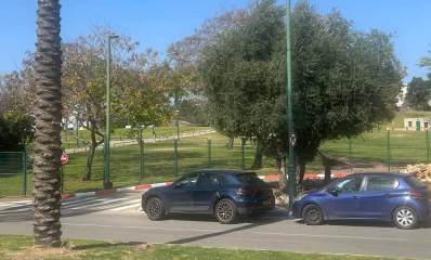 פארק רעננה. דשאים נרחבים ועצים.