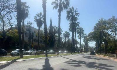 רחוב וייצמן בשכונת לב הפארק רעננה. שני מסלולים ושני נתיבים בכל אחד. ביניהם הפרדה של משטח דשא ועצי דקל.