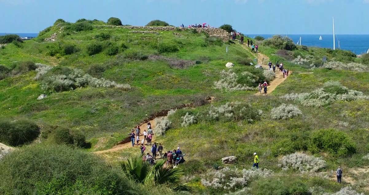 תל מיכל הרצליה, אנשים מטפסים על התל הירוק