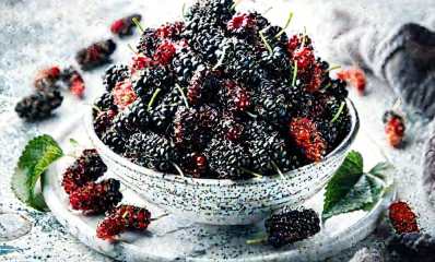 תותי עץ. הדמיית AI - מערכת