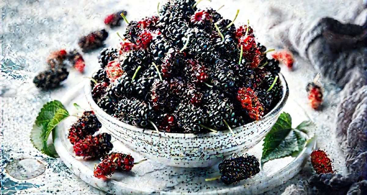 תותי עץ. הדמיית AI - מערכת