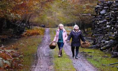 כשקיץ הופך לסתיו - סצינה מתוך הלהיט הצרפתי. באדיבות רשת לב