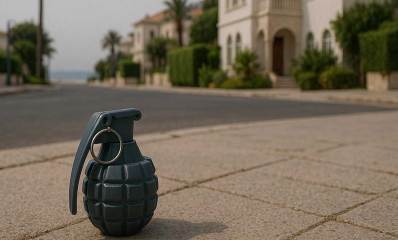 רימון בשכונת מגורים על המדרכה. ברקע בניינים של שתי קומות עם צמחייה בחזיתות.