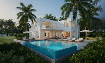 וילה פרטית של שתי קומות ובחצר בריכת שחייה גדולה ובשני הצדדים רחבות עם מיטות שיזוף ושמשיות. עצי דקל וצמחים בחצר ומשטח דשא.