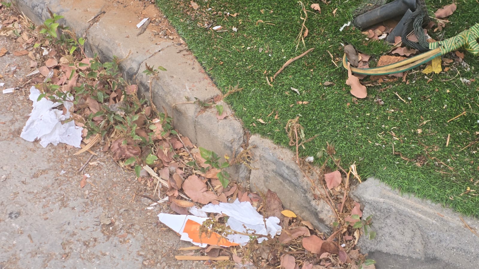 אשפה ברחוב בני בנימין. כמה זמן היא כבר שם? צילום: מערכת