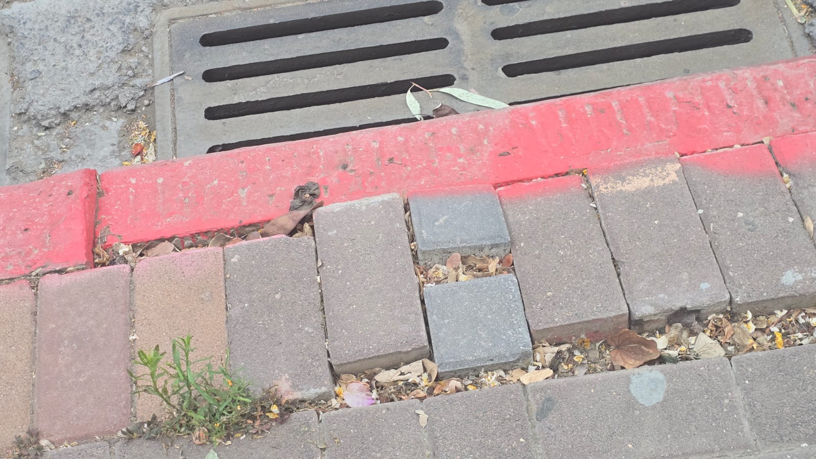 וגם המדרכות הרוסות ברחוב בני בנימין - קטע הצמוד למכסה הביוב. צילום: מערכת