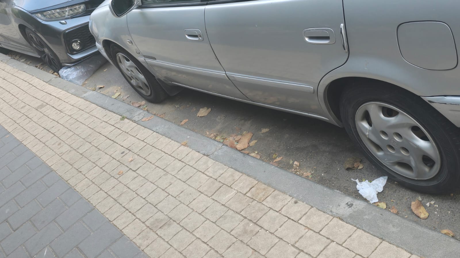 טינופת ללא הפסקה גם בצדי רחוב בני בנימין. צילום: מערכת