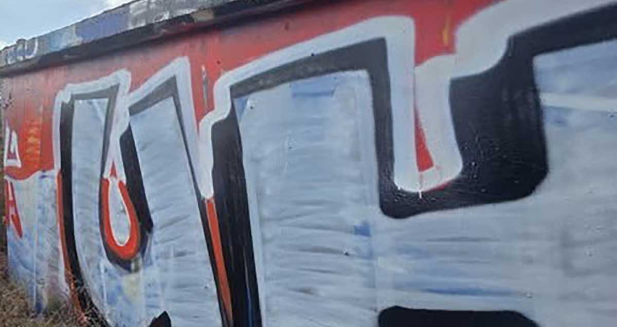גרפיטי ברמת השרון על מבנה מבטון של קומה אחת.