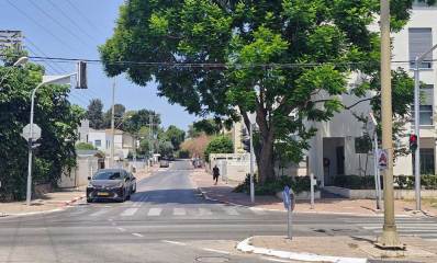 כביש הכניסה לשכונת סביוני הכפר בכפר סבא. כביש של שני נתיבים ומדרכות בצדדים. משמאל בתי מגורים של שתי קומות. מימין בתי מגורים של שלוש קומות. עץ גדול בכניסה לרחוב.